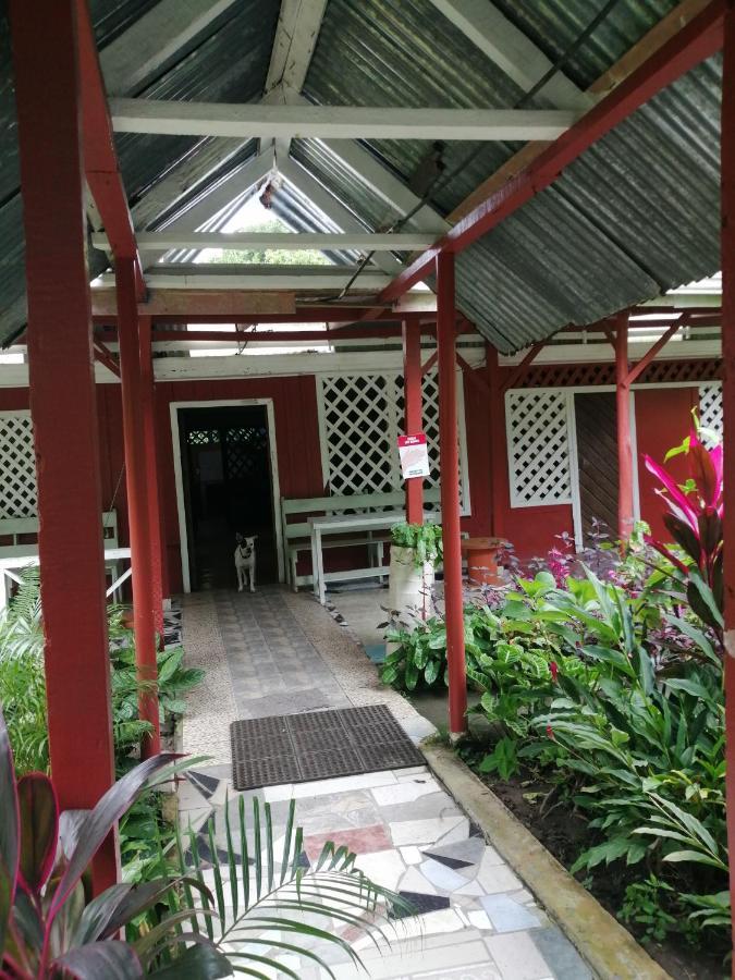 Hospedaje Meryscar Tortuguero Exterior photo