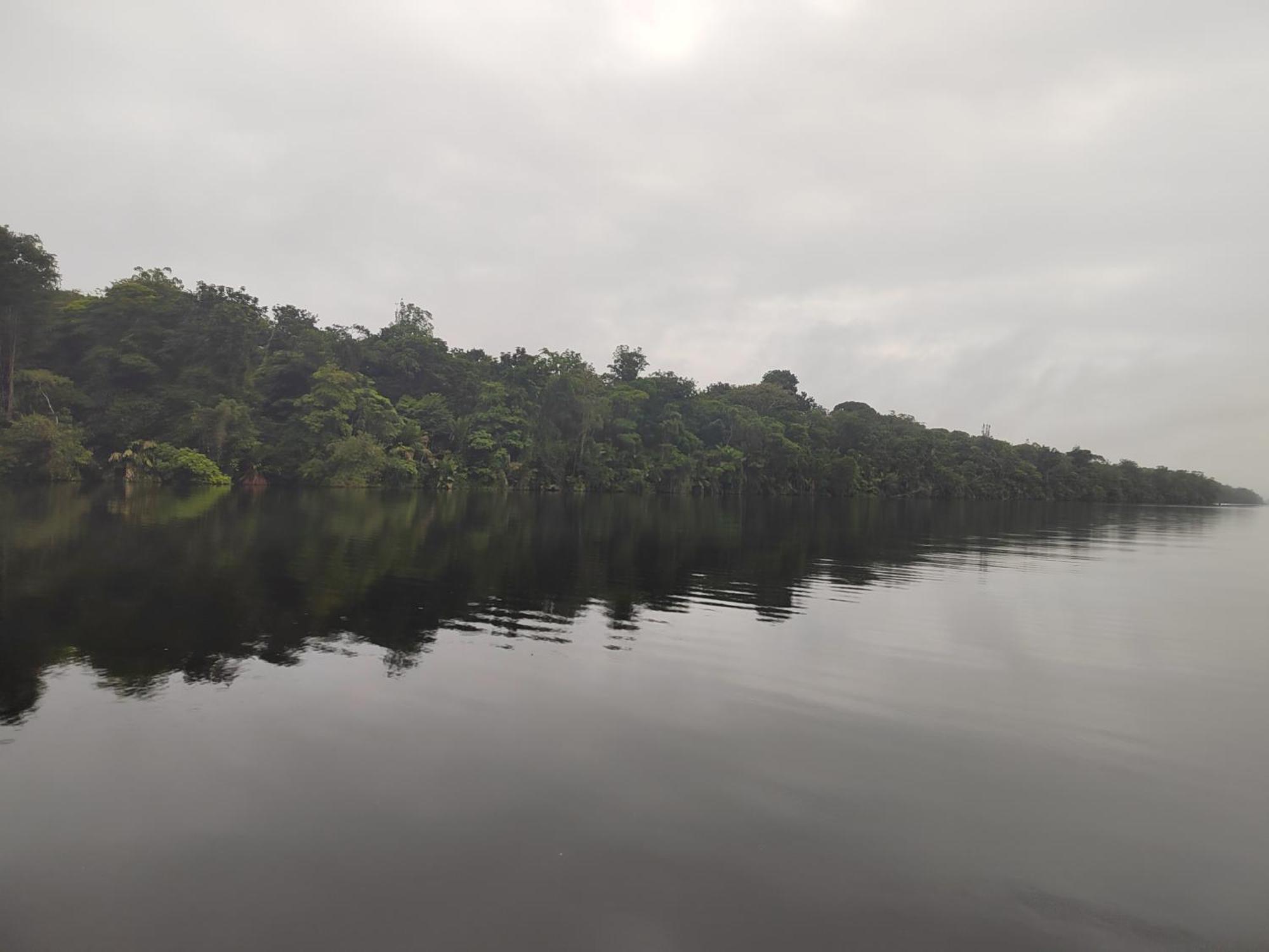 Hospedaje Meryscar Tortuguero Exterior photo