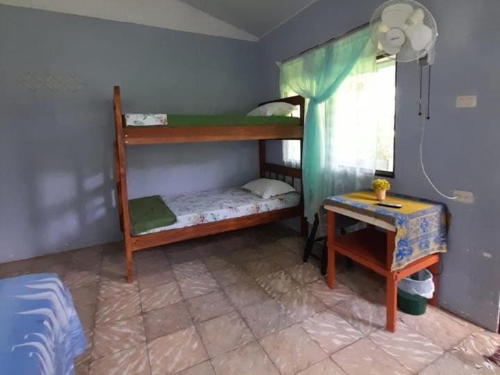 Hospedaje Meryscar Tortuguero Exterior photo